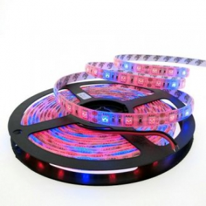Фитолента для растений LED SMD 5050 IP65 3к:1с - 5 метров Фитолента для растений LED SMD 5050 IP65 3к:1с - 5 метров